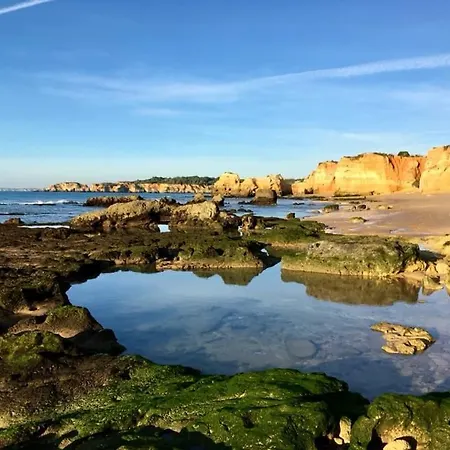 Casa Azul, Fast Wi-fi, Airco, Pool & Bbq Near The Da Rocha * Portimao